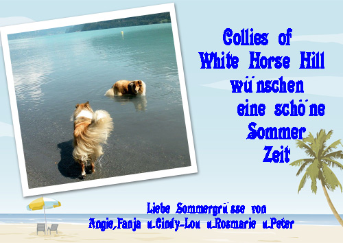 An den Beitrag angehängtes Bild: http://colliewelt.de/whitehorsehill/Bilder/Userbilder/425.jpg