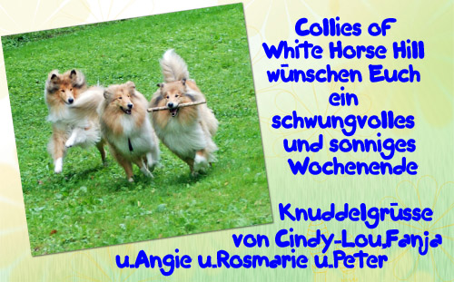 An den Beitrag angehängtes Bild: http://colliewelt.de/whitehorsehill/Bilder/Userbilder/653.jpg