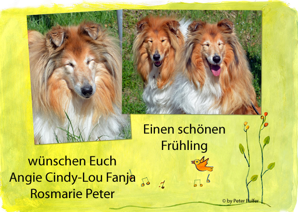 An den Beitrag angehängtes Bild: http://colliewelt.de/whithorsehill/Bilder/Userbilder/1855.jpg.