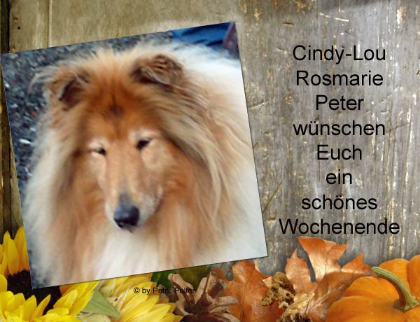 An den Beitrag angehängtes Bild: http://colliewelt.de/whithorsehill/Bilder/Userbilder/2155.jpg.