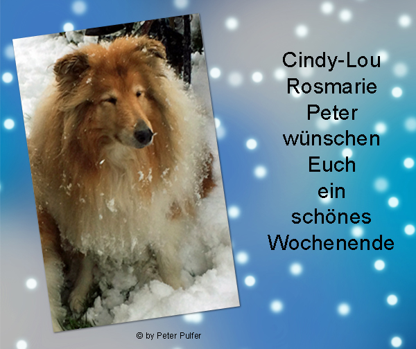 An den Beitrag angehängtes Bild: http://colliewelt.de/whithorsehill/Bilder/Userbilder/2180.jpg.